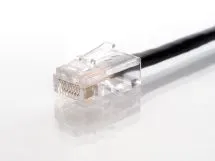 Picture of CAT5e Patch Cable - 100 FT, Black, Assembled