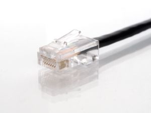 Picture of CAT5e Patch Cable - 100 FT, Black, Assembled