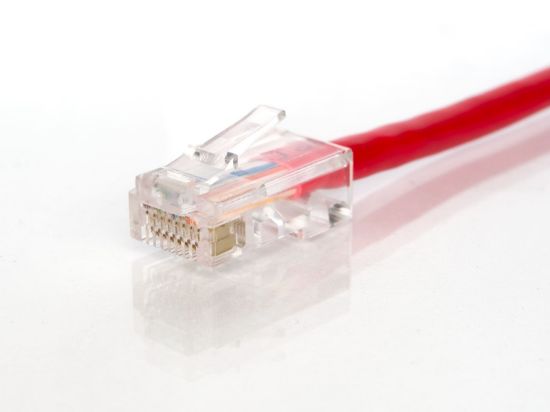 Picture of CAT5e Patch Cable - 25 FT, Red, Assembled