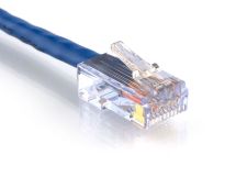 Picture of CAT6 Patch Cable - 2 FT, Blue, Assembled