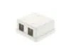 Picture of 2 Port Surface Mount Box - White