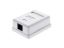 Show details for Surface Mount Box with CAT5e 110 Punch Down Terminals - RJ45 - 8 Conductor Picture of Surface Mount Box with CAT5e 110 Punch Down Terminals - RJ45 - 8 Conductor