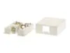 Picture of 4 Conductor RJ11 White Surface Mount Box with Screw Terminals