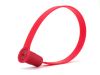 Picture of 8 Inch Red Plastic Security Seals - 100 Pack
