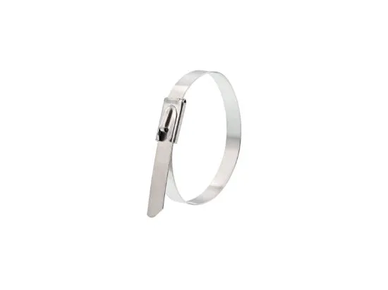 Picture of 5 Inch Standard 316 Stainless Steel Cable Tie - 100 Pack