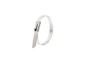 Picture of 5 Inch Stainless Steel Cable Ties - 100 Pack