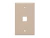 Picture of 1-Port Single-Gang Keystone Faceplates