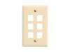 Picture of 6 Port Keystone Faceplate - Single Gang