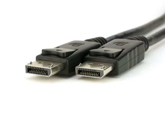 Picture of DisplayPort Cable