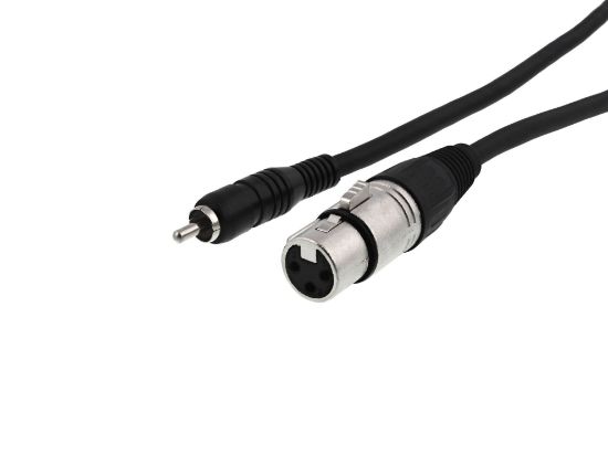 Picture of XLR Female to RCA Male Plug