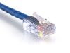 Picture of CAT6 Patch Cable - Blue, Assembled
