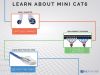 Picture of Blue Mini CAT6 Booted Patch Cables