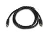 Picture of USB 2.0 USB-C Male to USB-C Male Cables - 480Mbps